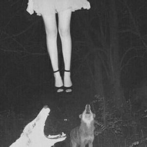 Meet your Posher, Sebastian